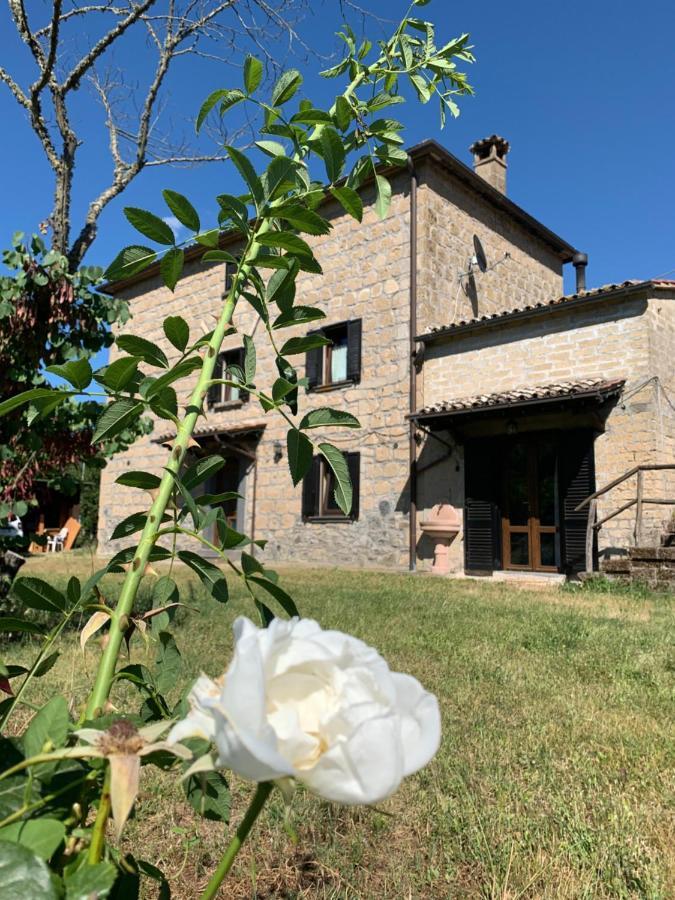 Villa Casa Di Monica Torre San Severo Exterior foto